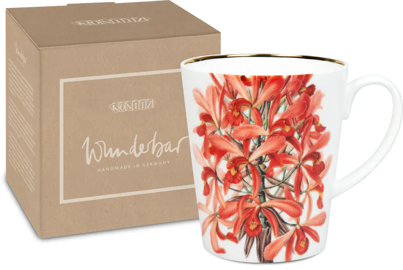 Wunderbar with Gift Box Laelia superbiens